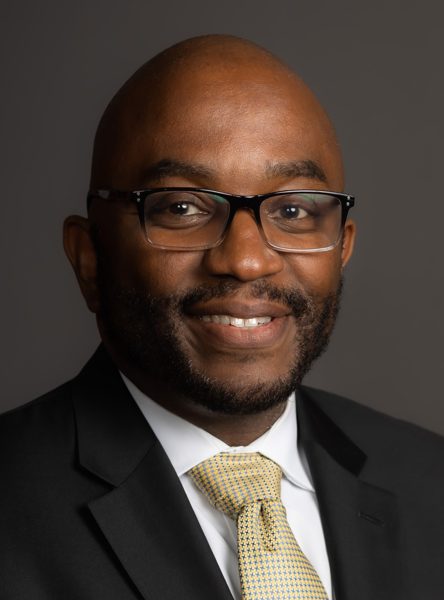 Official portrait of Segun Adeyina